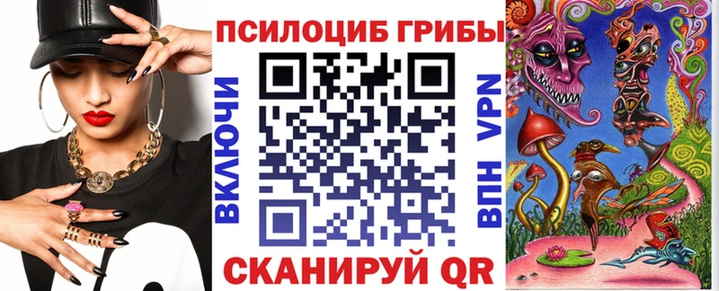 Псилоцибиновые грибы Psilocybe  Теберда 